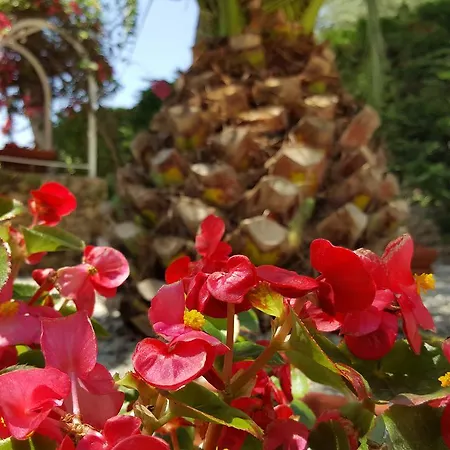 Bed & Breakfast Phalanthos 3*