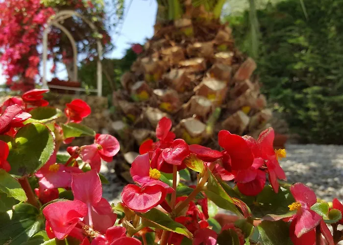 Bed & Breakfast Phalanthos 3*