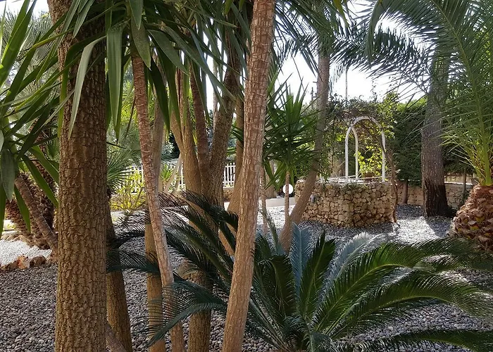 Bed & Breakfast Phalanthos